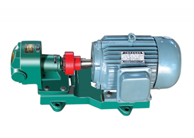 INTERNAL MESHING LYCLOINDAL PUMP