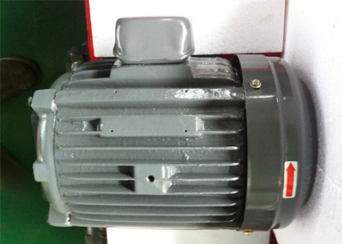 3HP-30L MOTOR