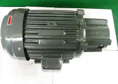 5HP-LONG MOUTH MOTOR