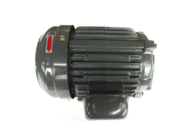 HYDRAULIC MOTOR